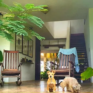 4* Hotel El Hotelito At The Rainforest Experience Farm
